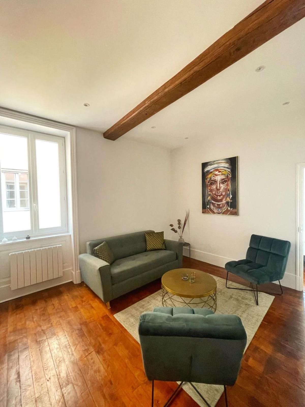 Center Macon Charmant Appartement Avec Vue Sur La Saone Mâcon Exterior foto