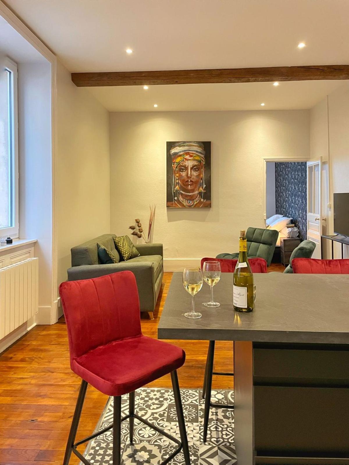 Center Macon Charmant Appartement Avec Vue Sur La Saone Mâcon Exterior foto